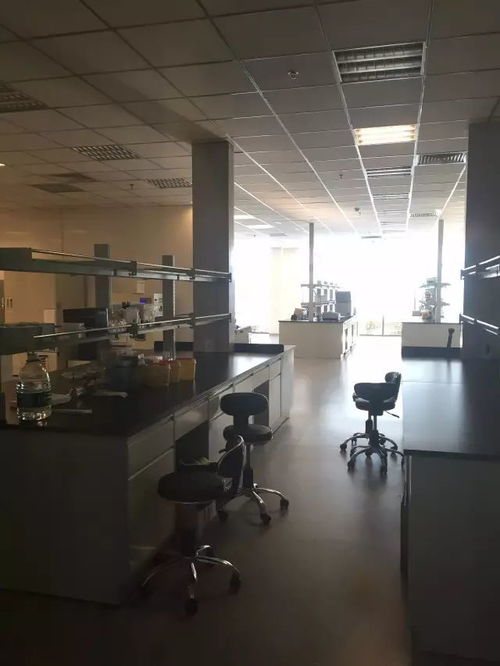 從戀愛到二胎都能測，消費級基因檢測靠譜嗎？