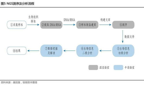 干貨丨遺傳病基因檢測(cè)行業(yè)研究報(bào)告