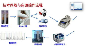 淺談腫瘤基因檢測(cè) 精準(zhǔn)醫(yī)療時(shí)代的核心鑰匙